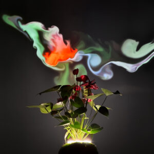 Installation artistique pour l'exposition ORH / Hugues Lehaire / Super Organique / Micro Folie : un anthurium illuminé par en bas, surmonté d'une projection lumineuse dynamique et colorée évoquant des formes organiques en mouvement.